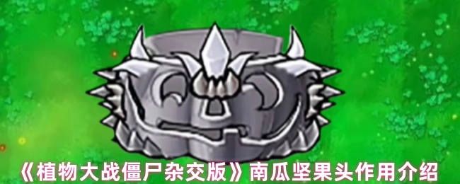 《植物大战僵尸杂交版》中钢果南瓜头的作用讲解