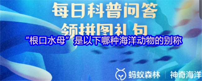 &ldquo;根口水母&rdquo;是哪一種海洋動(dòng)物的別稱呢？