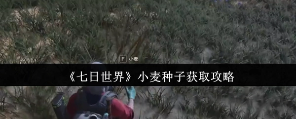 《七日世界》小麥種子獲取攻略