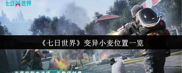 《七日世界》變異小麥位置一覽