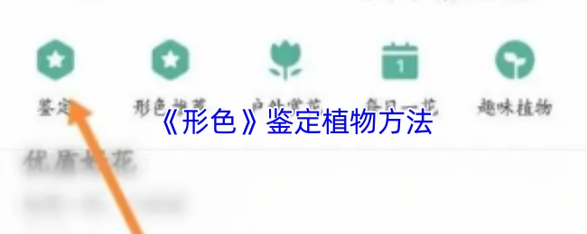 《形色》鑒定植物方法