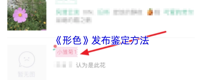 《形色》發(fā)布鑒定方法