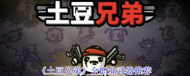 《土豆兄弟》各职业武器推荐大盘点