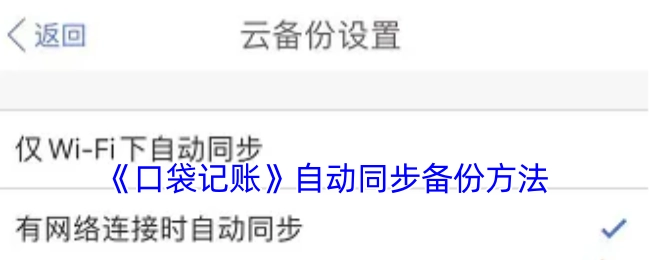 《口袋记账》的自动同步备份方式
