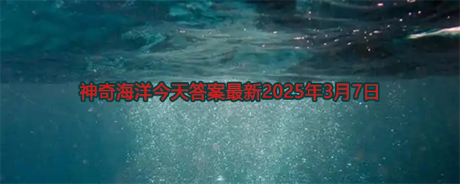 在海洋环境里，哪种食物链被称作“黑色食物链”呢？