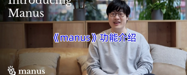 《manus》功能讲解