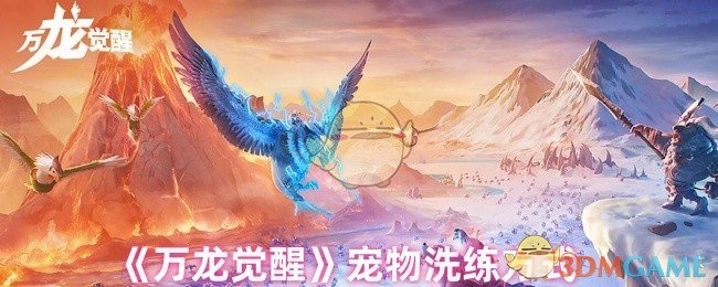 《万龙觉醒》里宠物的洗练方法