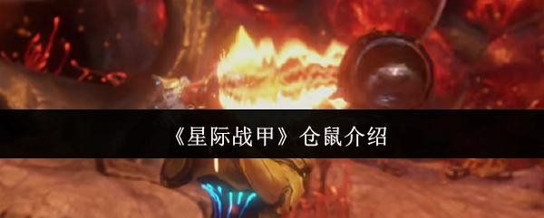 对《星际战甲》中仓鼠的讲解