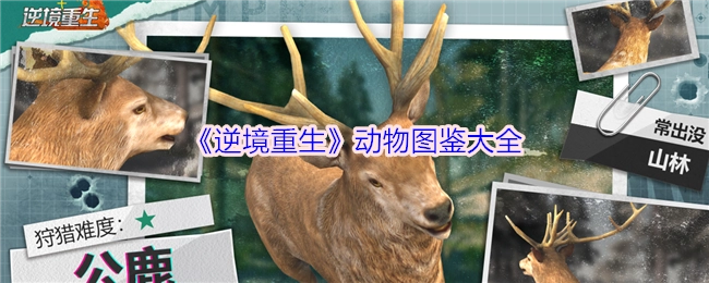 《逆境重生之动物图鉴全览》