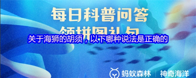 以下关于海狮胡须的哪种说法是正确的？