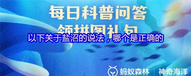 以下有关盐沼的说法中，哪一个是正确的？
