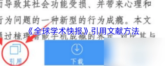 《全球学术快报》中引用文献的方式