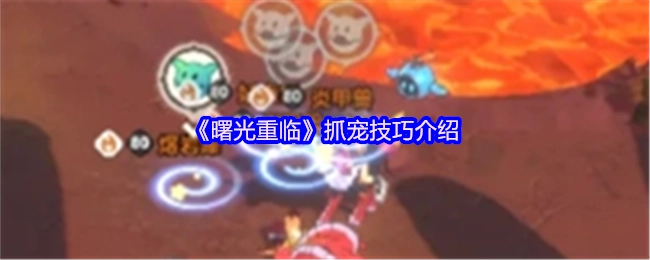 《曙光重临》宠物捕捉技巧讲解