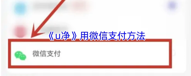 使用微信支付方式的《u净》
