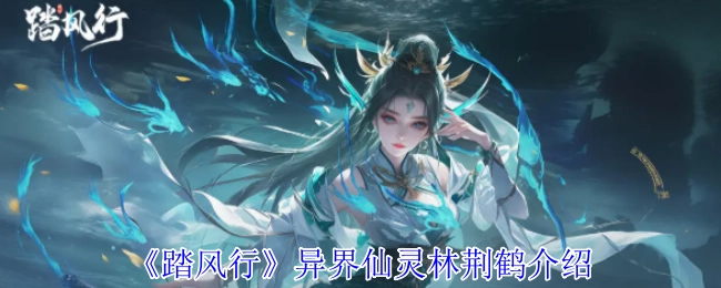 介绍《踏风行》异界仙灵林荆鹤