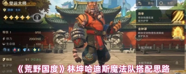 《荒野国度》中林坤哈迪斯魔法队的搭配思路