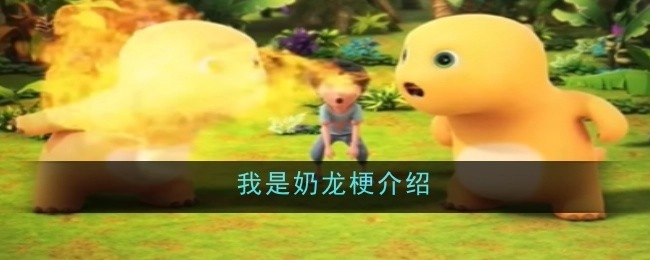 这是关于奶龙梗的介绍