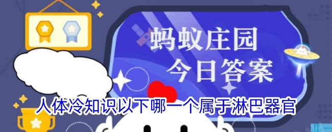 关于人体冷知识，以下哪个属于淋巴器官？