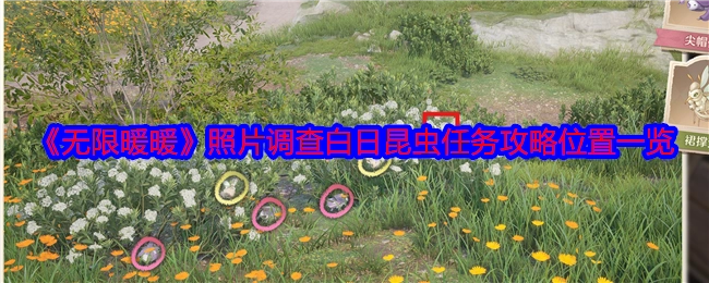 《无限暖暖》照片调查白日昆虫任务攻略之位置全览