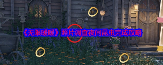 《无限暖暖》照片调查夜间昆虫的通关攻略