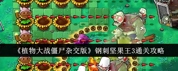 《植物大战僵尸杂交版》钢刺坚果王3的通关秘籍
