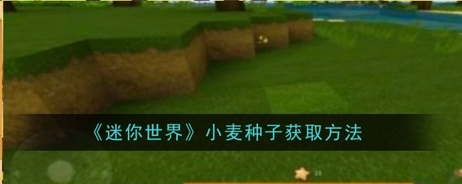 获取《迷你世界》小麦种子的办法