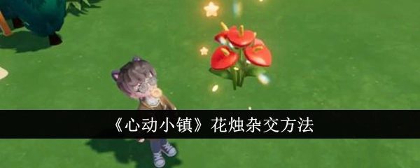 《心动小镇》里花烛的杂交方式