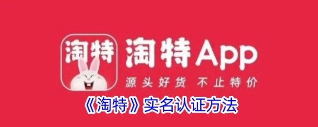 淘特实名认证的方式