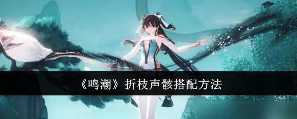 《鸣潮》折枝声骸的搭配方式