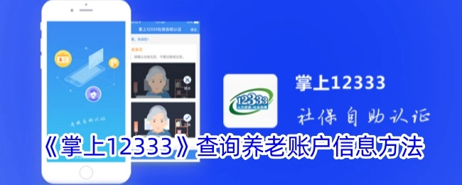 查询养老账户信息的方法——《掌上12333》