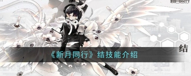 《新月同行》技能效果讲解