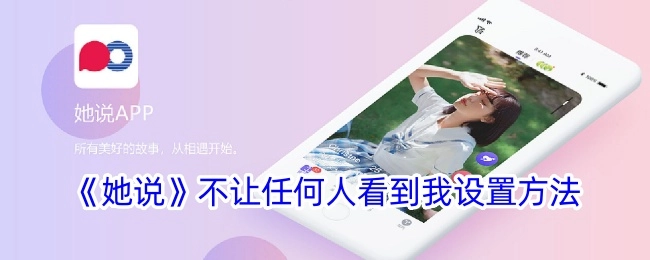 《她说》不允许任何人看到我设定的方法