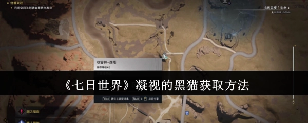 《七日世界》中凝视的黑猫的获取方式