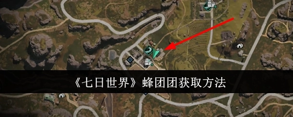 了解《七日世界》蜂团团的获取途径