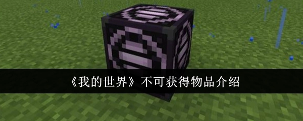 《我的世界》中无法获取物品的相关介绍