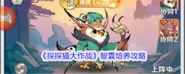《探探猫大作战》中智囊的培养攻略