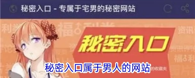 男性专属的秘密入口网站