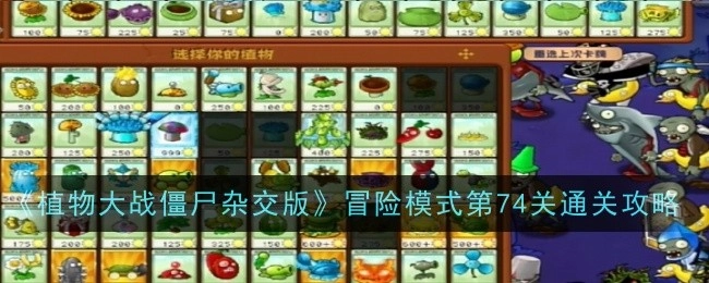 《植物大战僵尸杂交版》冒险模式第七十四关通关攻略