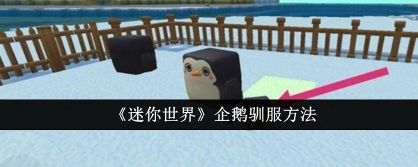 《迷你世界》里企鹅的驯服办法