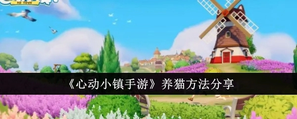 《心动小镇手游》猫咪饲养方法大公开
