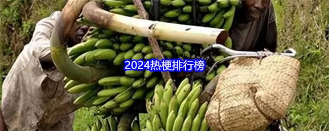 2024热门梗排行榜