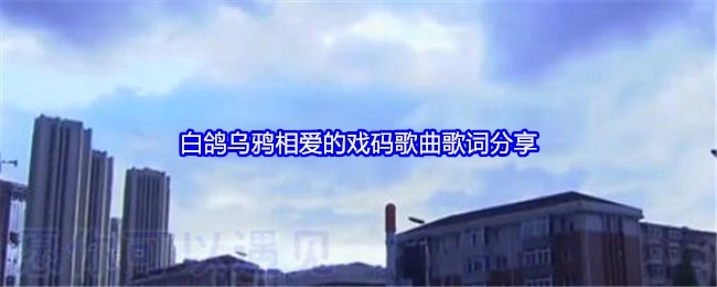 分享白鸽与乌鸦相爱戏码的歌曲歌词