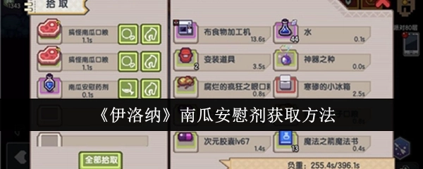 《伊洛纳》中南瓜安慰剂的获取途径