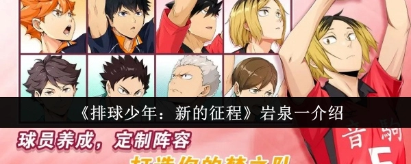 关于《排球少年：新的征程》中岩泉一的介绍