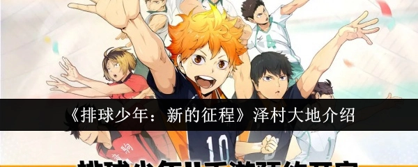 《排球少年：新的征程》中泽村大地的介绍