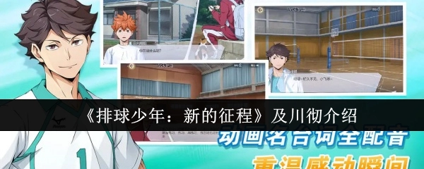 关于《排球少年：新的征程》中及川彻的介绍