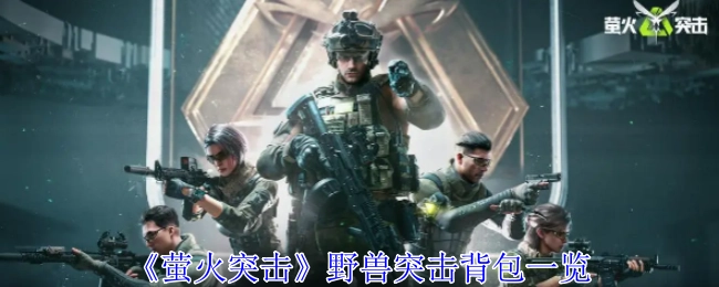 《萤火突击》野兽突击背包全解析