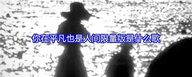 即便平凡，你也是人间限量版，这出自什么歌？