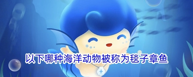 下面哪种海洋动物有着毯子章鱼的称呼？