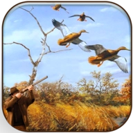 真实野鸭狩猎手机版